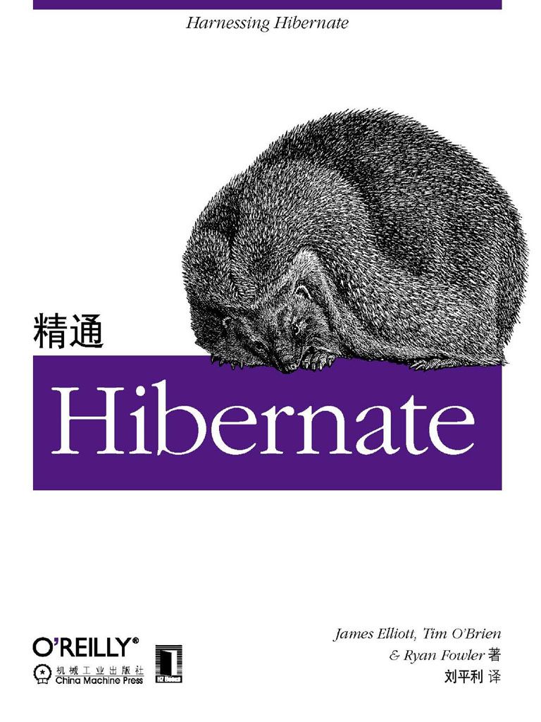 精通Hibernate (O'reilly精品图书系列)